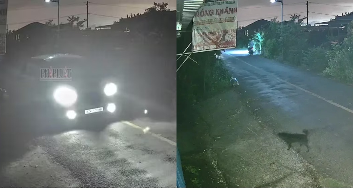 Công an thông tin nóng vụ nhóm người lái ô tô 7 chỗ đi trộm chó, đã bắt giữ nghi phạm đầu tiên