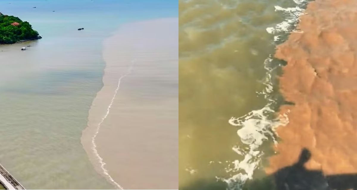 Thực hư hiện tượng ‘biển âm dương’ xuất hiện ở Cà Mau, chính quyền địa phương lý giải nguyên nhân