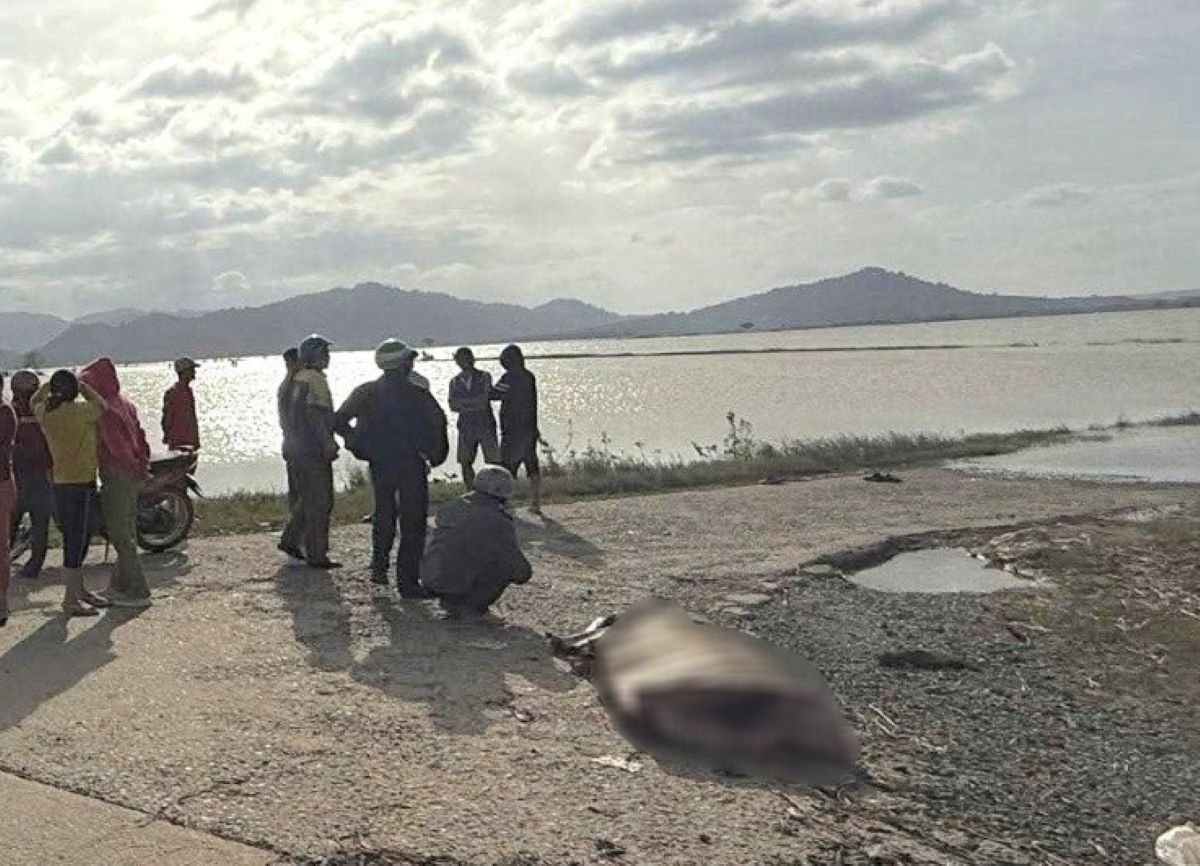 Tai nạn thương tâm tại Đắk Lắk: Mẹ và con gái 6 tuổi tử nạn khi đi hái cà phê, hé lộ hiện trường