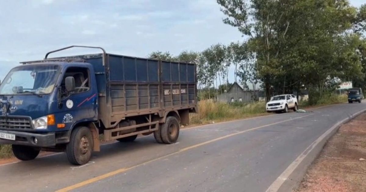 Chi tiết vụ tài xế xe tải vượt ẩu, gây tai nạn rồi cán chết một người đàn ông đang băng qua đường