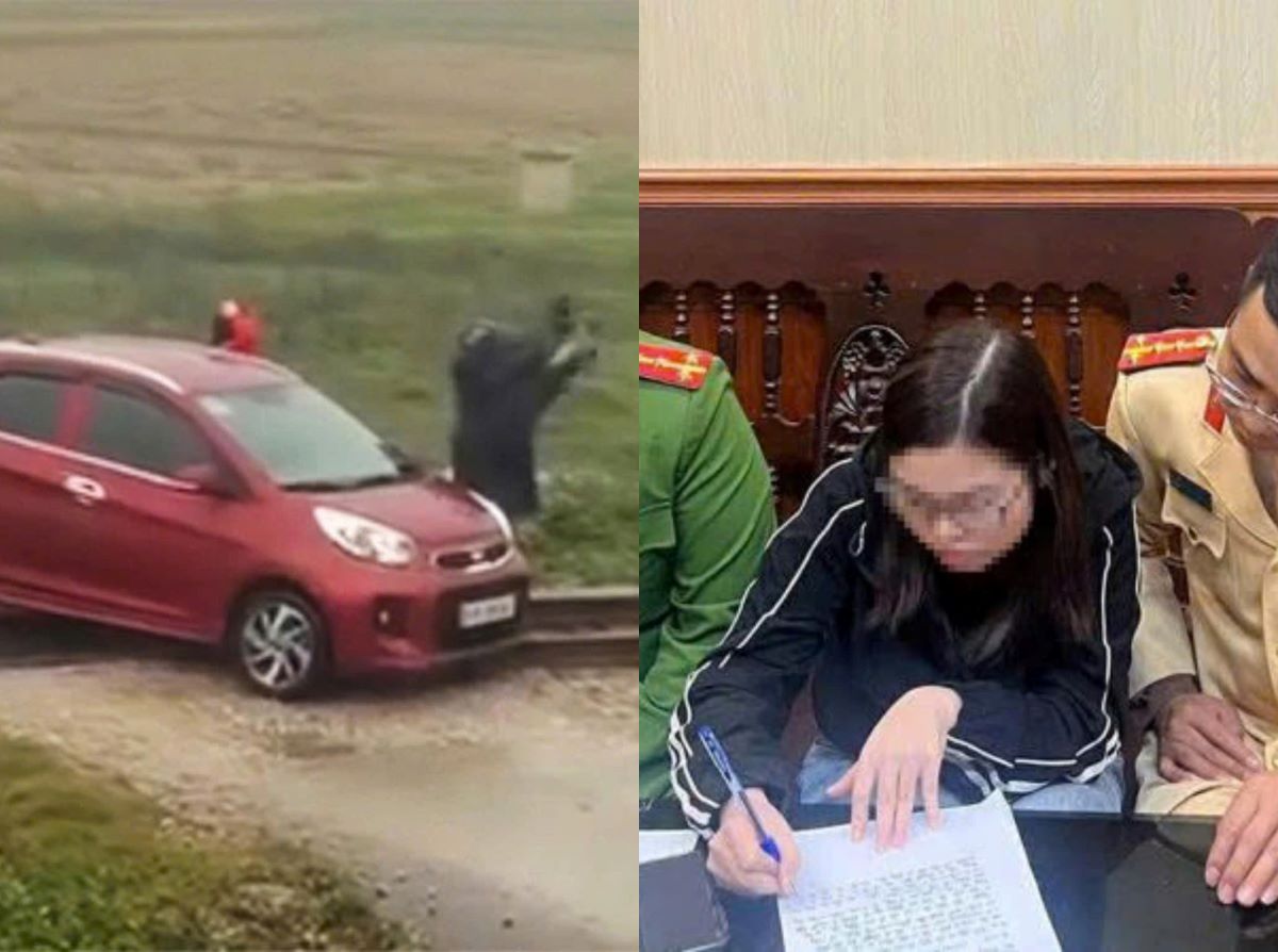 Vụ tàu hỏa dừng khẩn cấp để tránh ô tô: Vì sao nữ tài xế chưa phải bồi thường?