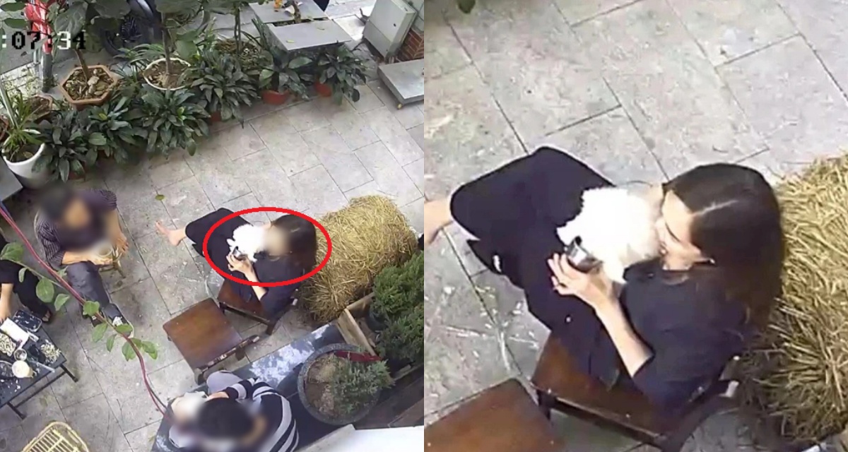 Cho ch&oacute; uống cốc của qu&aacute;n c&agrave; ph&ecirc;, kh&aacute;ch xưng \'m&agrave;y, tao\' khi bị nhắc nhở, chủ qu&aacute;n xử l&yacute; kh&ocirc;ng ngờ! 