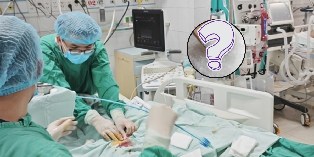 Nữ gi&aacute;o vi&ecirc;n H&agrave; Nội \'thập tử nhất sinh\' chỉ sau một b&aacute;t b&uacute;n ngan, nguy&ecirc;n nh&acirc;n từ loại gia vị quen thuộc