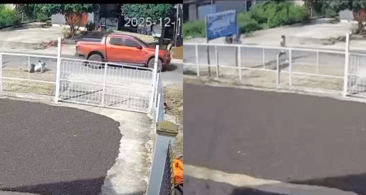 Khoảnh khắc &ocirc; t&ocirc; b&aacute;n tải t&ocirc;ng người rồi rời hiện trường g&acirc;y bức x&uacute;c, CSGT v&agrave;o cuộc x&aacute;c minh to&agrave;n bộ diễn biến vụ việc