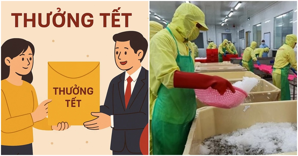 C&agrave; Mau: Tiết lộ mức thưởng Tết 2026 cao nhất người lao động c&oacute; thể nhận được