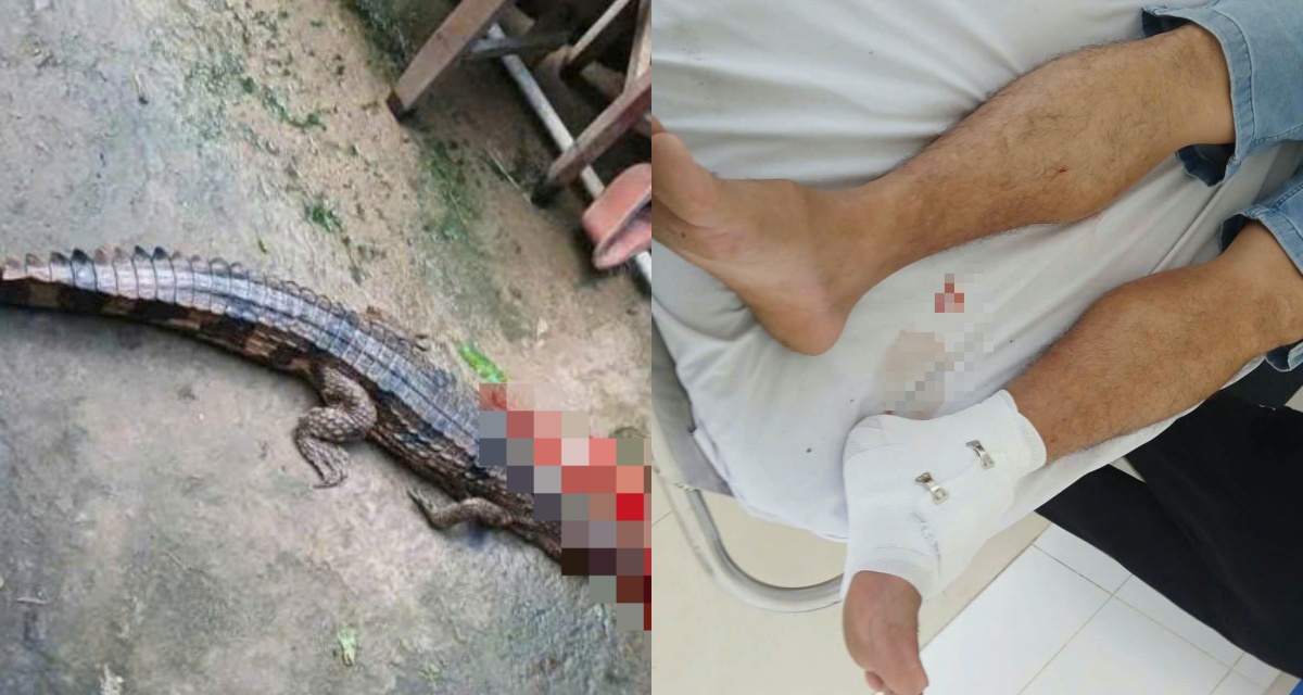 C&aacute; sấu sổng chuồng cắn thầy gi&aacute;o ở T&acirc;y Ninh, th&uacute; nu&ocirc;i tr&aacute;i ph&eacute;p lộ diện v&agrave; mức &aacute;n phạt g&acirc;y chấn động 