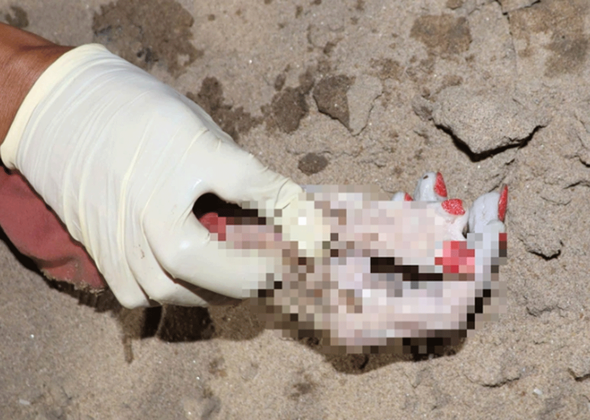 C&ocirc;ng an t&igrave;m người th&acirc;n thi thể một phụ nữ tr&ocirc;i tr&ecirc;n s&ocirc;ng S&agrave;i G&ograve;n: C&oacute; 6 ng&oacute;n tay, sơn m&oacute;ng ch&acirc;n đỏ