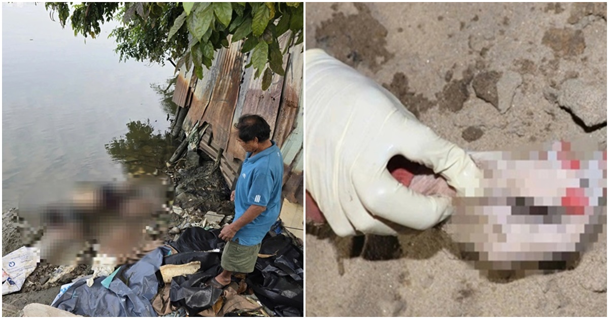 C&ocirc;ng an điều tra thi thể nam giới tr&ocirc;i v&agrave;o nh&agrave; d&acirc;n c&aacute;ch 3km nơi ph&aacute;t hiện thi thể nữ giới c&oacute; b&agrave;n tay 6 ng&oacute;n