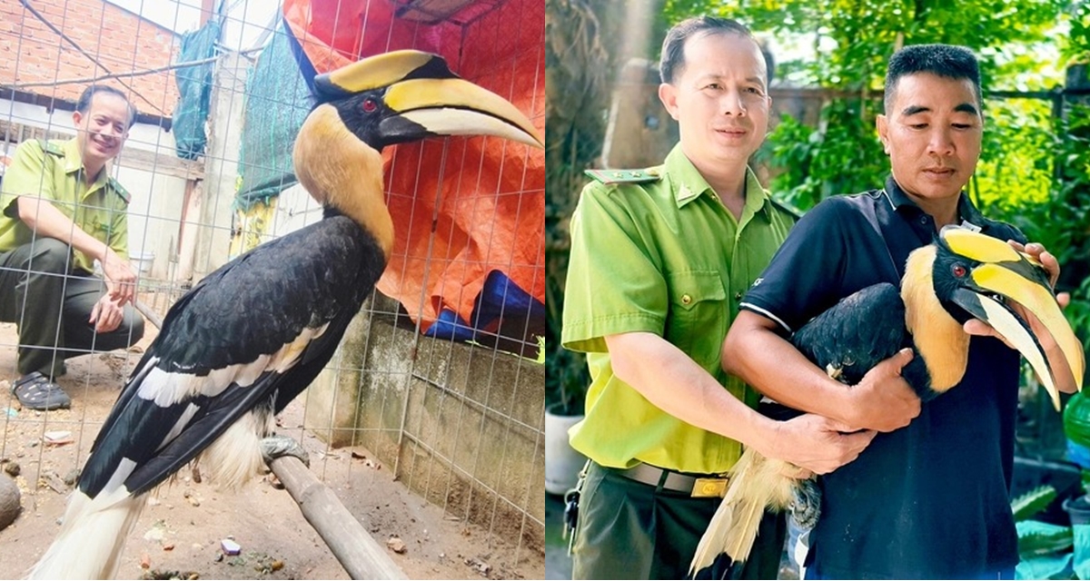 Chim lạ đặc biệt qu&yacute; hiếm s&agrave; xuống xe m&aacute;y người d&acirc;n, đuổi cũng kh&ocirc;ng chịu đi v&agrave; c&aacute;i kết bất ngờ