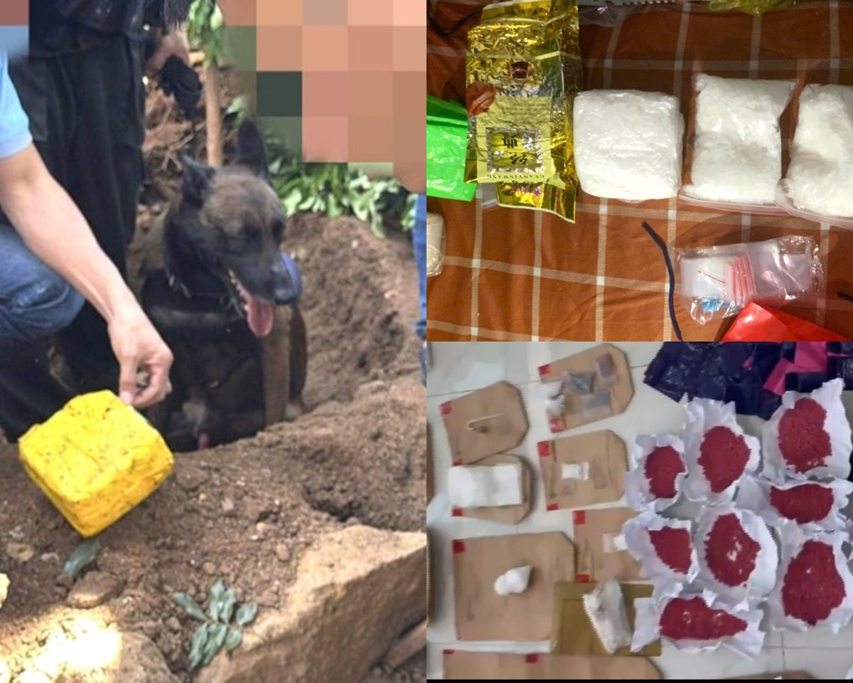 Ph&aacute; đường d&acirc;y ma t&uacute;y lớn nhất lịch sử Đắk Lắk: 1 c&aacute;n bộ bị thương, nhiều đối tượng c&oacute; tiền &aacute;n khủng