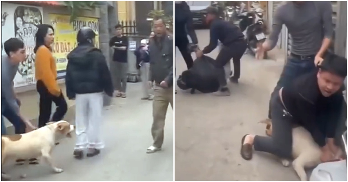 X&ocirc;n xao clip nam thanh ni&ecirc;n xua ch&oacute; v&agrave;o cắn người dữ dội trong cuộc ẩu đả giữa 2 người đ&agrave;n &ocirc;ng ở H&agrave; Nội