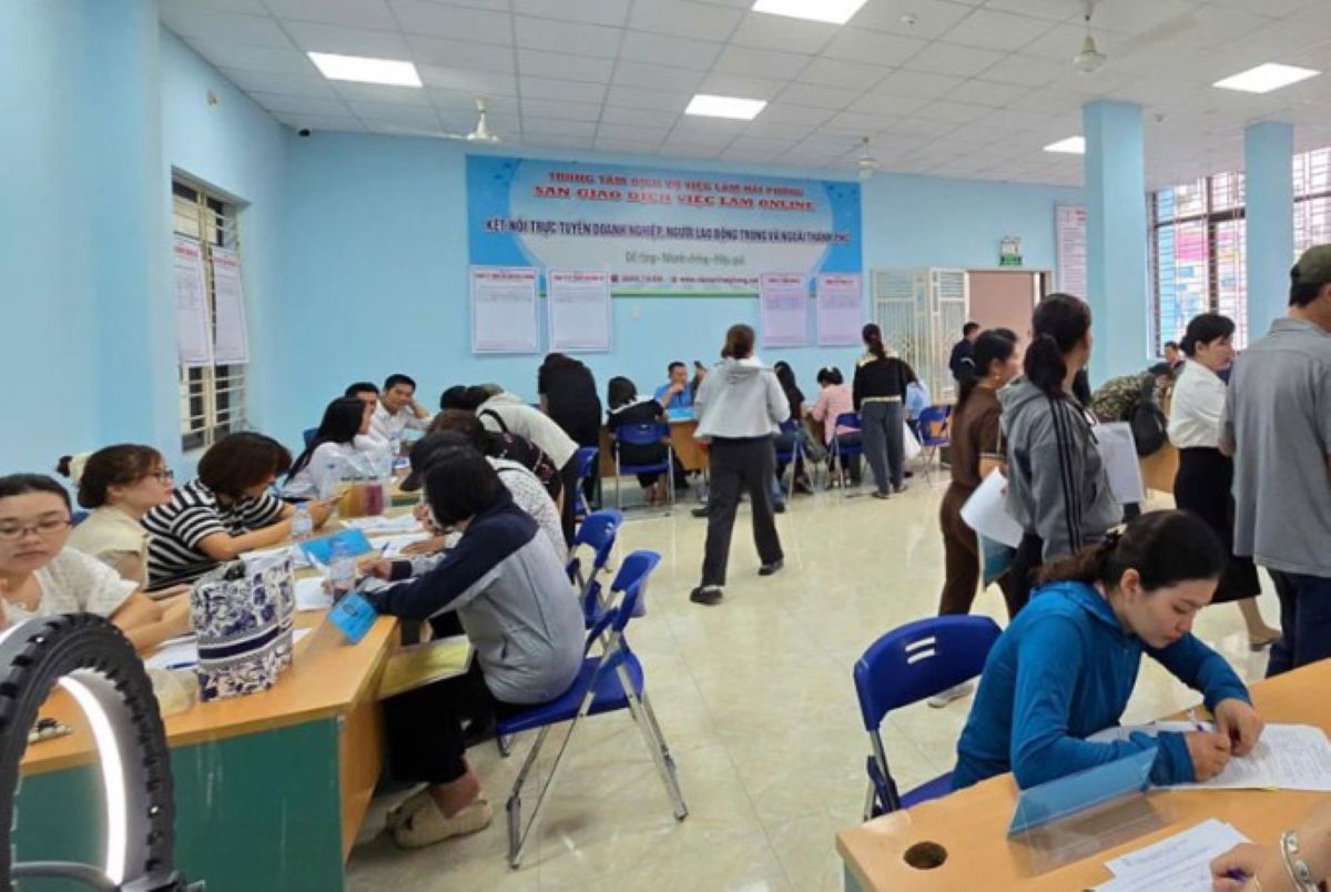 Từ 2026 Hải Ph&ograve;ng hỗ trợ lớn cho sinh vi&ecirc;n, thạc sĩ, gi&aacute;o sư: Chi tiết điều kiện để được nhận!