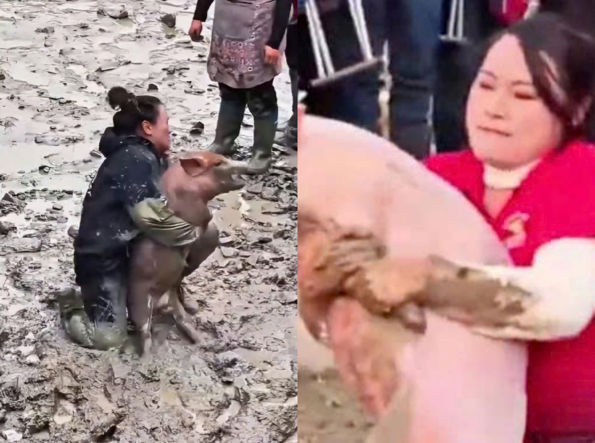 Ch&acirc;n dung c&ocirc; g&aacute;i nổi tiếng nhờ t&agrave;i bắt lợn, tiết lộ chuyện dở kh&oacute;c dở cười sau thắng giải