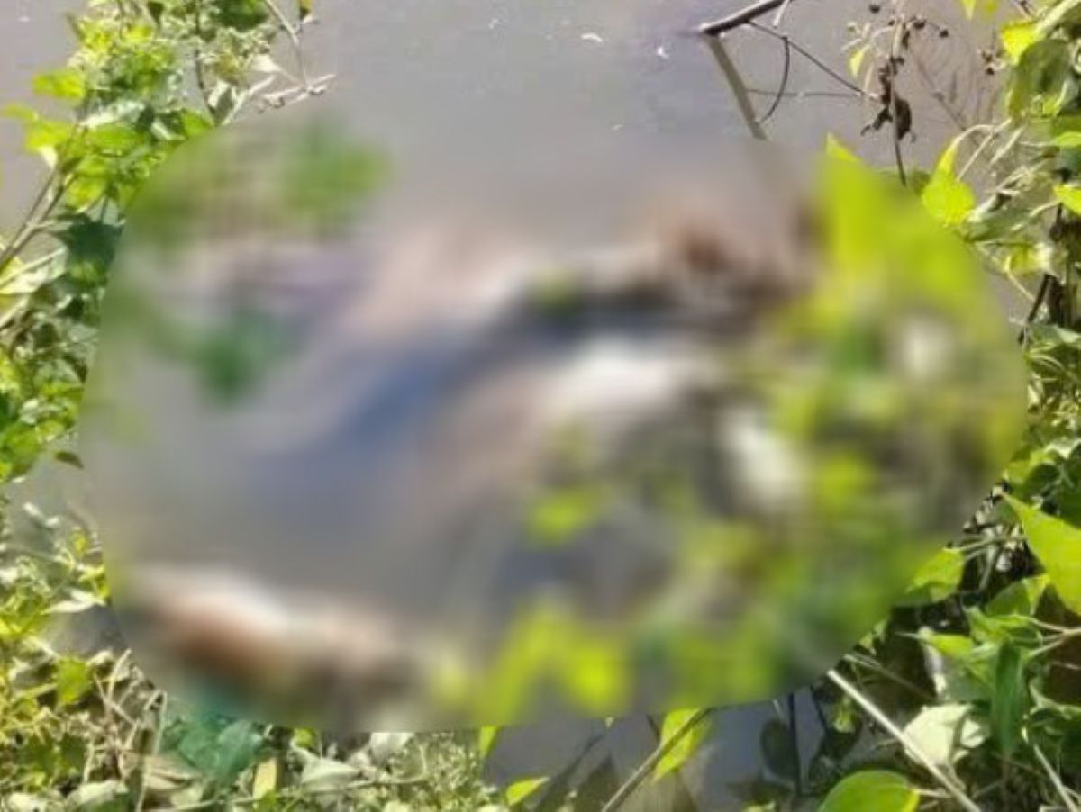 Ho&agrave;n cảnh gia đ&igrave;nh nữ sinh lớp 7 bị s&aacute;t hại ở C&agrave; Mau: Bố mẹ đi l&agrave;m xa, sống c&ugrave;ng &ocirc;ng ngoại