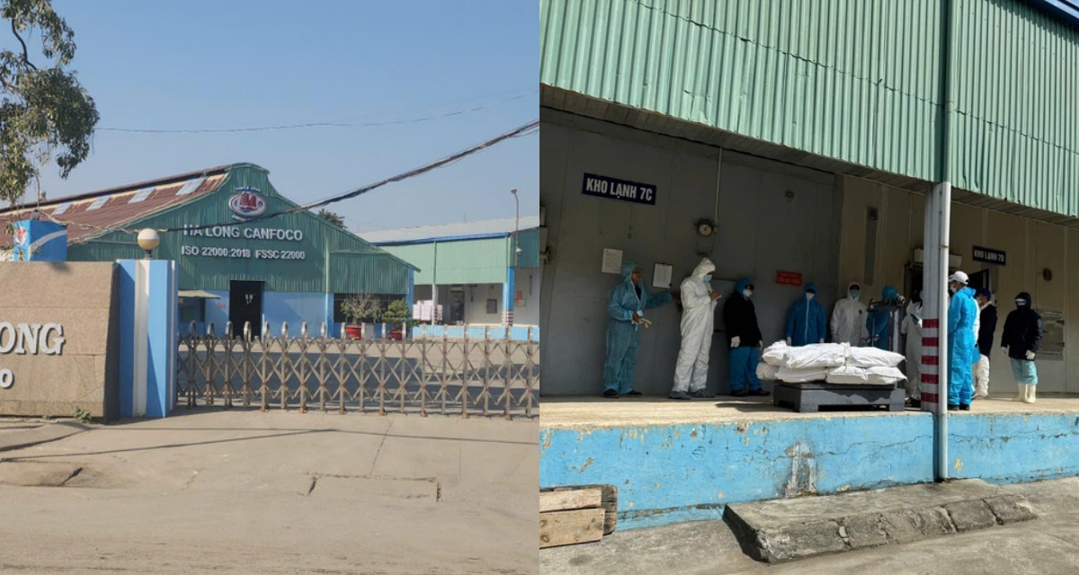 Danh t&iacute;nh 9 đối tượng trong đường d&acirc;y 130 tấn thịt heo bệnh v&agrave;o Đồ hộp Hạ Long: Đối diện khung h&igrave;nh phạt nặng