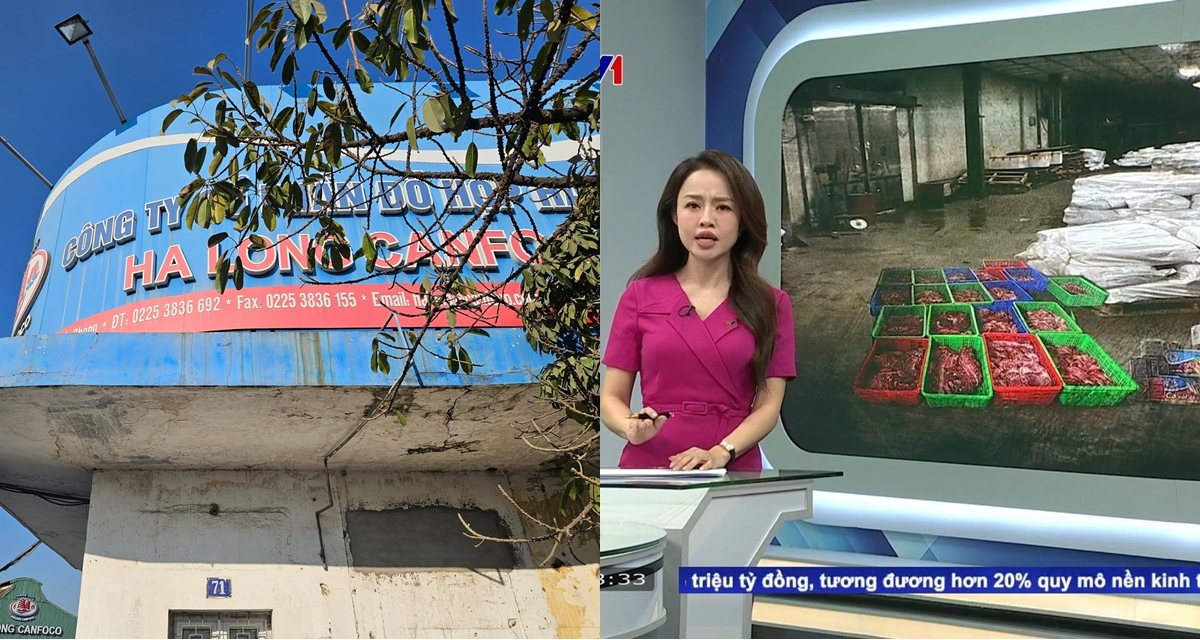 120 tấn lợn nhiễm bệnh bị ph&aacute;t hiện: C&aacute;n bộ CTCP đồ hộp Hạ Long tuy&ecirc;n bố &lsquo;xanh rờn&rsquo;, c&ocirc;ng ty giải th&iacute;ch