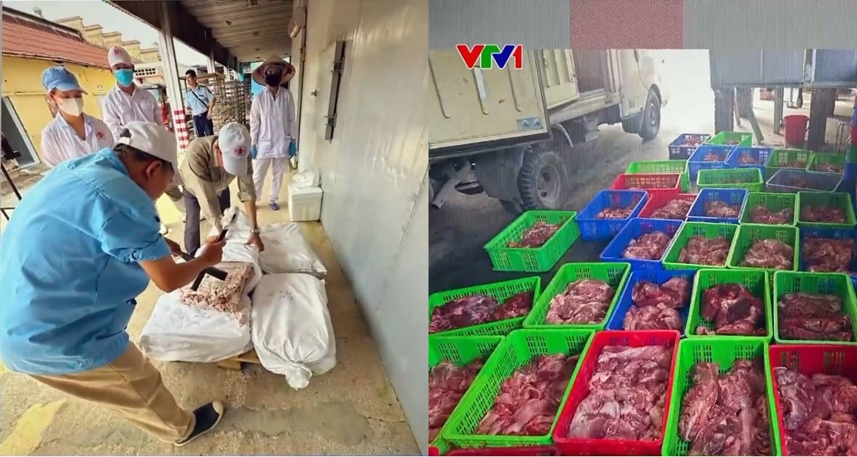 Cận cảnh kho h&agrave;ng chứa 120 tấn thịt lợn nhiễm bệnh của CTCP đồ hộp Hạ Long, h&eacute; lộ c&aacute;ch qua mặt lực lượng chức năng