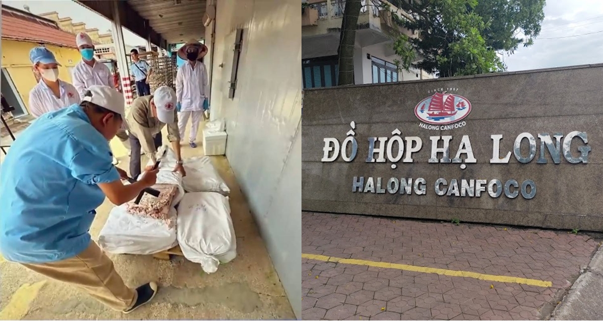 Thương hiệu Đồ hộp Hạ Long c&oacute; li&ecirc;n quan đến tỉnh Quảng Ninh? Sự thật đằng sau t&ecirc;n gọi