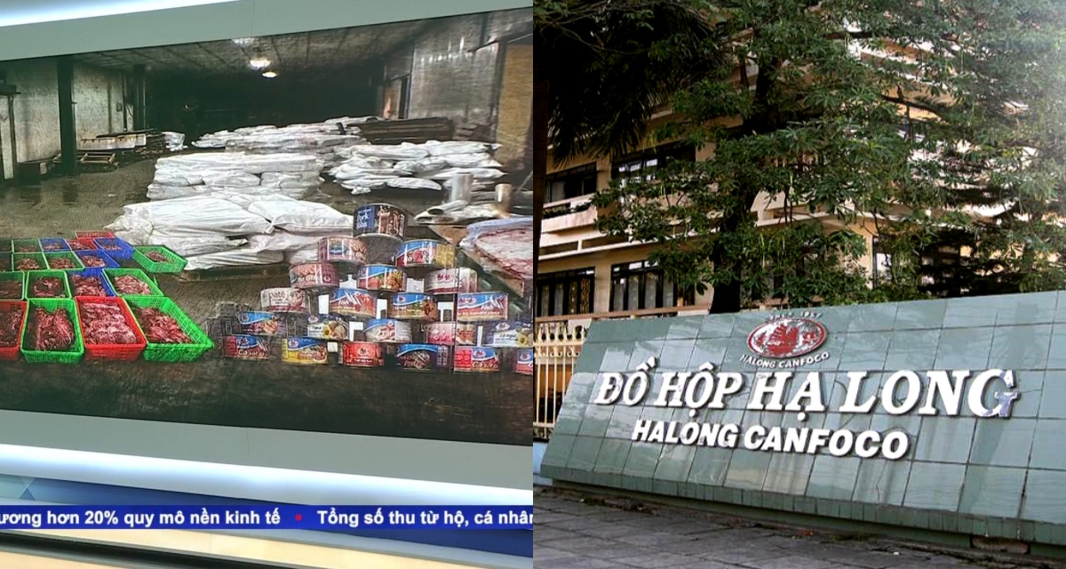 Khởi tố 9 bị can vụ 120 tấn thịt lợn bốc m&ugrave;i tại kho Đồ hộp Hạ Long: Lời khai h&eacute; lộ nguồn gốc g&acirc;y phẫn nộ 