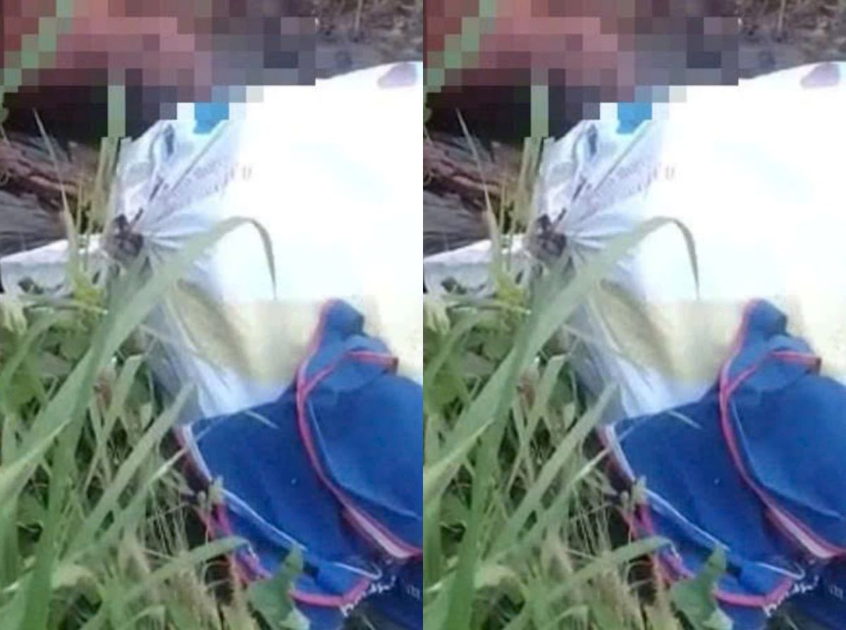 Ph&aacute;t hiện thi thể kh&ocirc; h&oacute;a, l&otilde;a thể gần trạm thu ph&iacute; cầu Ph&uacute; Mỹ, c&ocirc;ng an ra th&ocirc;ng b&aacute;o khẩn