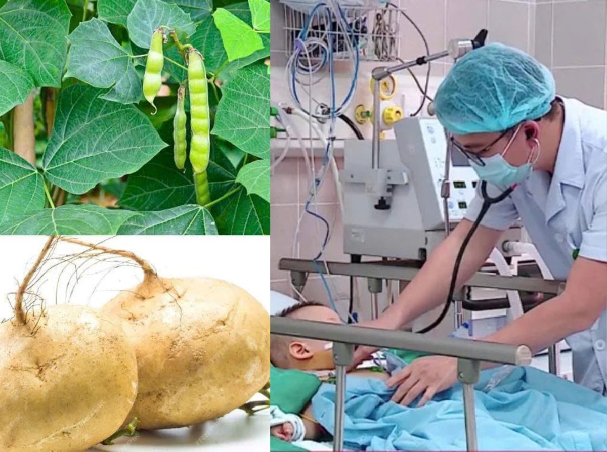 Vụ ngộ độc hạt củ đậu ở Ninh B&igrave;nh: 3 ca nặng nhất đang được theo d&otilde;i ra sao?