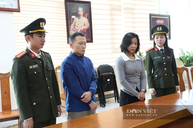 H&eacute; lộ nguy&ecirc;n nh&acirc;n v&agrave; loạt sai phạm khiến nữ Gi&aacute;m đốc Trung t&acirc;m Huấn luyện v&agrave; Thi đấu TDTT H&agrave; Tĩnh bị bắt