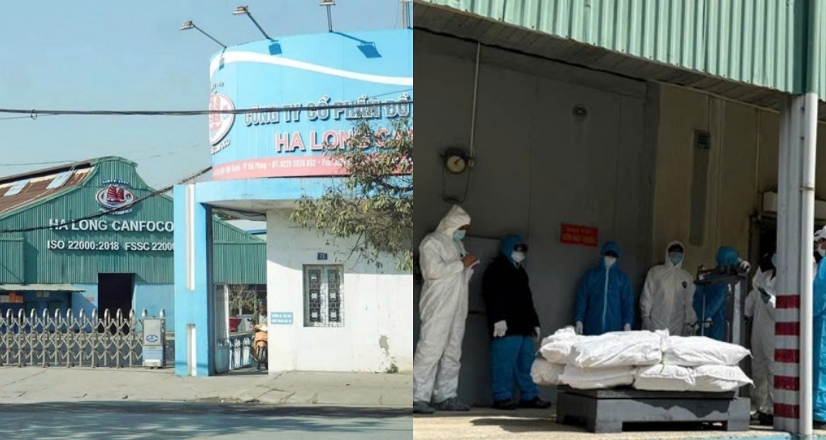 To&agrave;n cảnh hơn nửa ng&agrave;y ch&ocirc;n lấp kho thực phẩm nhiễm dịch của Đồ hộp Hạ Long,  h&eacute; lộ khối lượng &lsquo;khủng&rsquo; bị ti&ecirc;u hủy