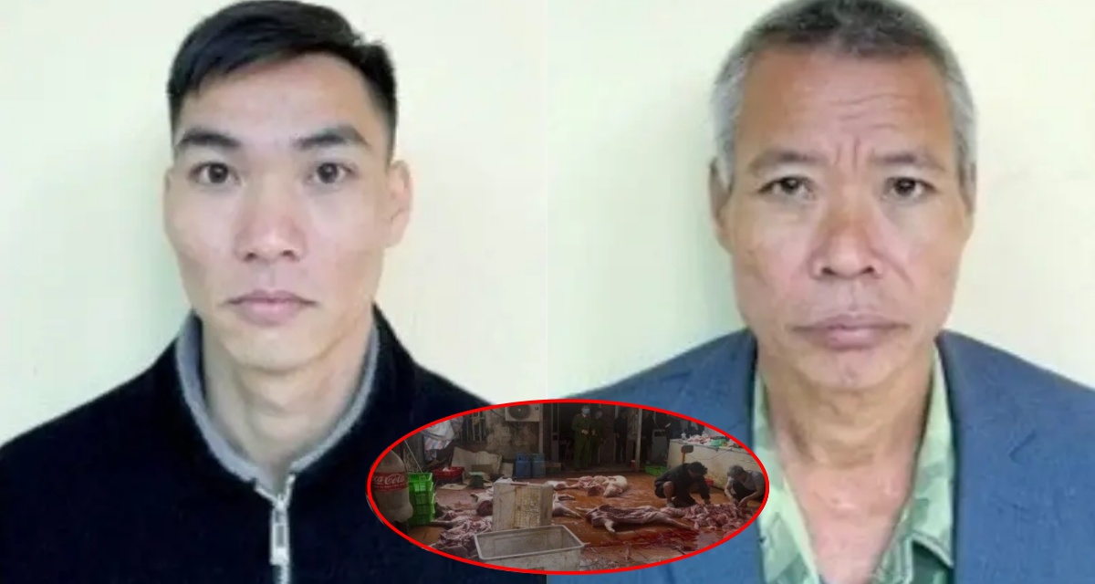 Triệt ph&aacute; đường d&acirc;y giết mổ lợn bệnh, nhiễm dịch tả quy m&ocirc; lớn: Lời khai h&eacute; lộ nguồn gốc r&ugrave;ng m&igrave;nh 