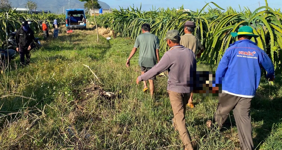 Danh t&iacute;nh người đ&agrave;n &ocirc;ng tử vong trong vườn thanh long ở L&acirc;m Đồng, người d&acirc;n kể lại sự t&igrave;nh