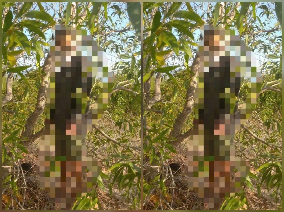 Vụ người đ&agrave;n &ocirc;ng treo cổ trong rừng tr&agrave;m ở L&acirc;m Đồng: H&eacute; lộ l&aacute; thư tuyệt mệnh v&agrave; cuộc gọi cuối c&ugrave;ng