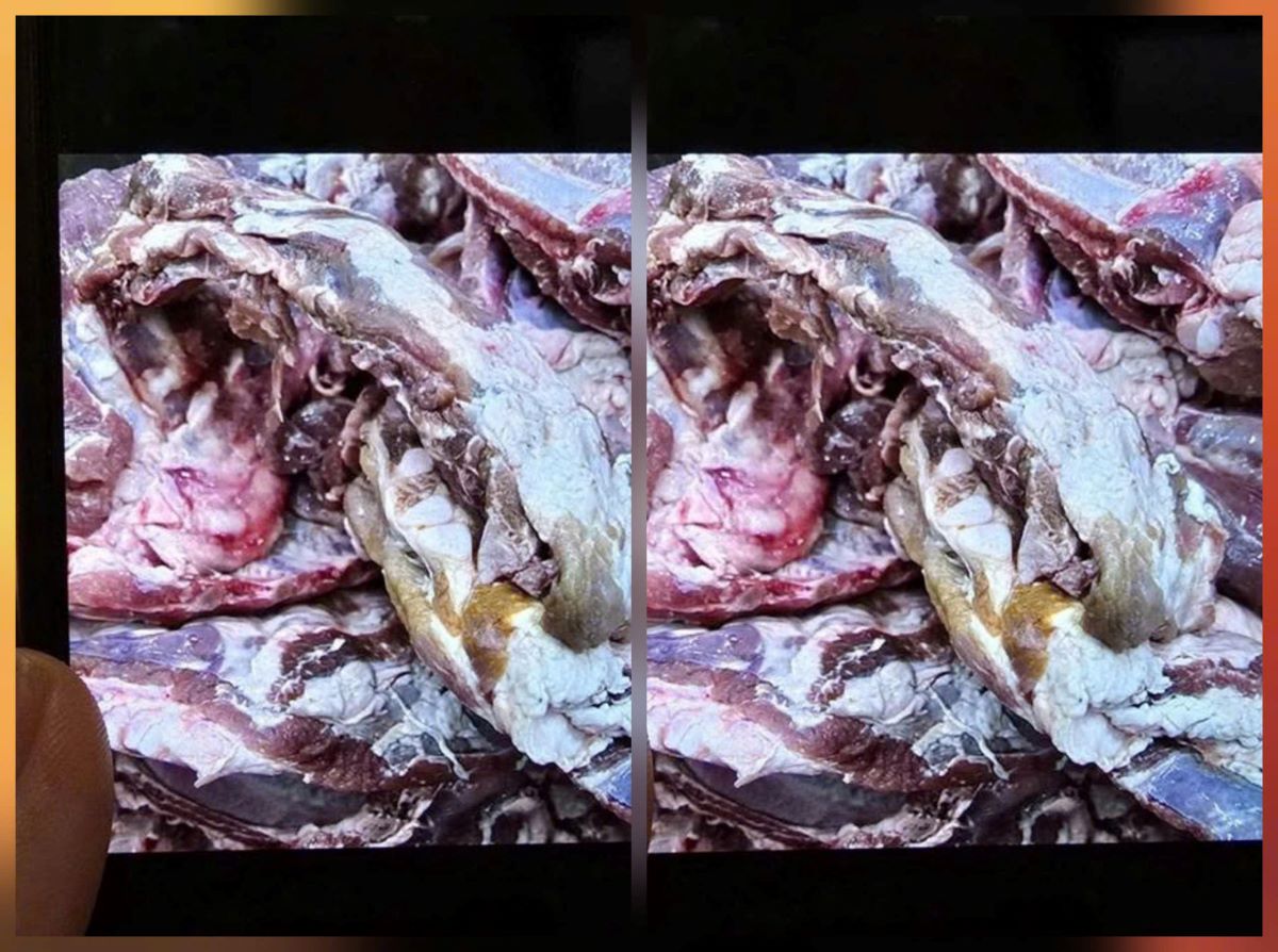 90kg thịt lợn đổi m&agrave;u bất thường tuồn v&agrave;o trường học tại TPHCM: Sự cố hy hữu hay tin đồn &aacute;c &yacute;?