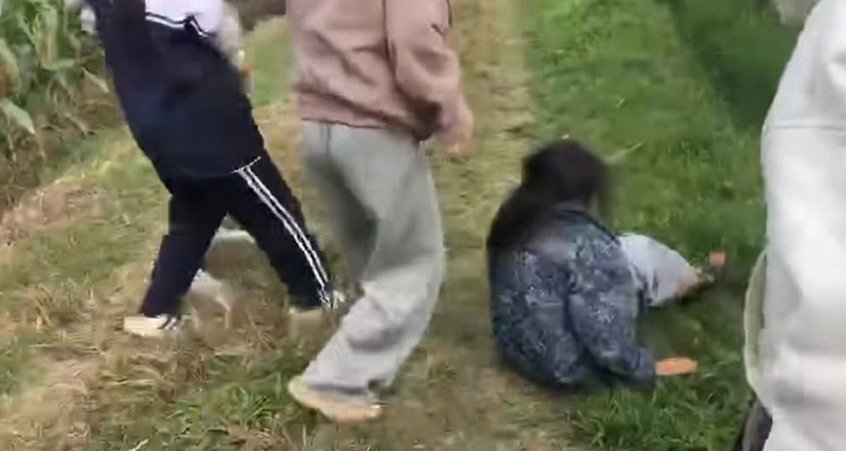 Th&ocirc;ng tin n&oacute;ng về nh&oacute;m nữ sinh đ&aacute;nh hội đồng bạn học ở c&aacute;nh đồng tại H&agrave; Nội, c&ocirc;ng an v&agrave;o cuộc