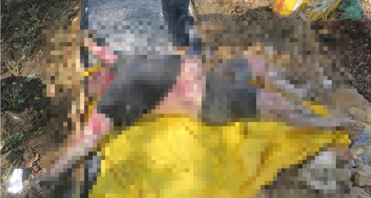 TP.HCM: Một thi thể nam giới được ph&aacute;t hiện ven s&ocirc;ng Giồng &Ocirc;ng Tố