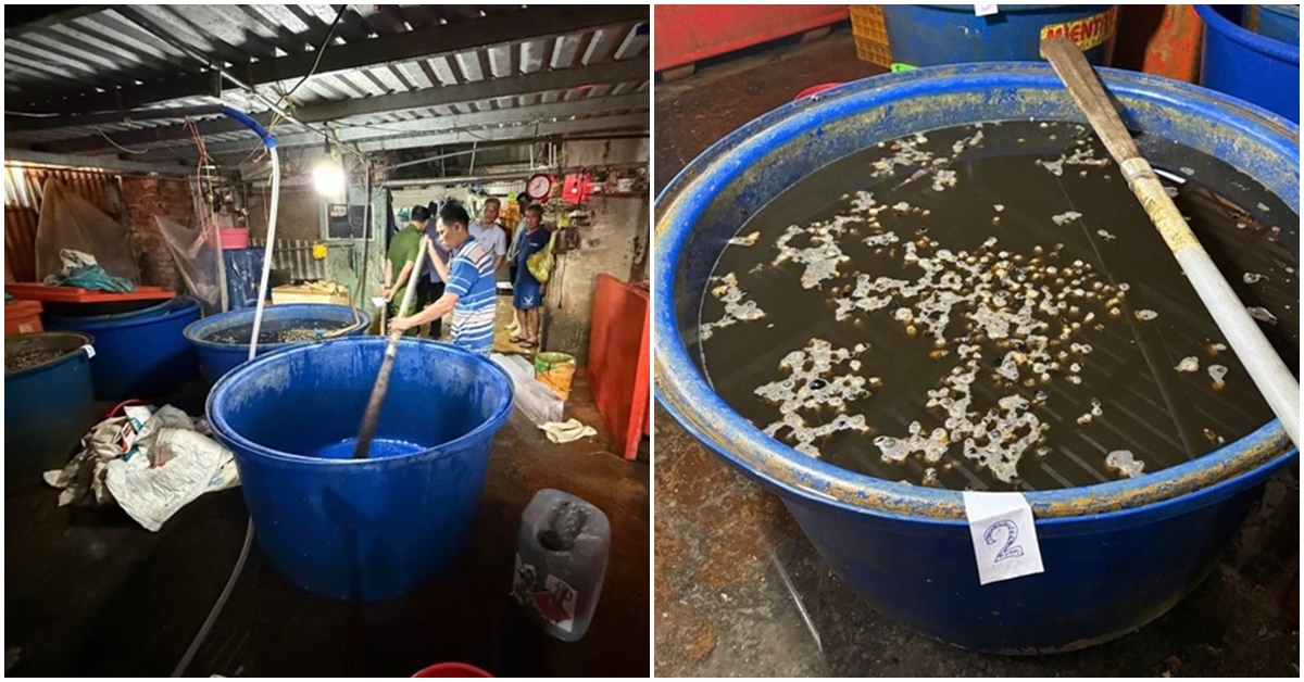 T&aacute;c hại kinh khủng từ việc ăn ốc bươu bị ng&acirc;m bằng &lsquo;thủy tinh lỏng&rsquo;, h&agrave;ng ngh&igrave;n tấn ốc đ&atilde; được tuồn ra thị trường