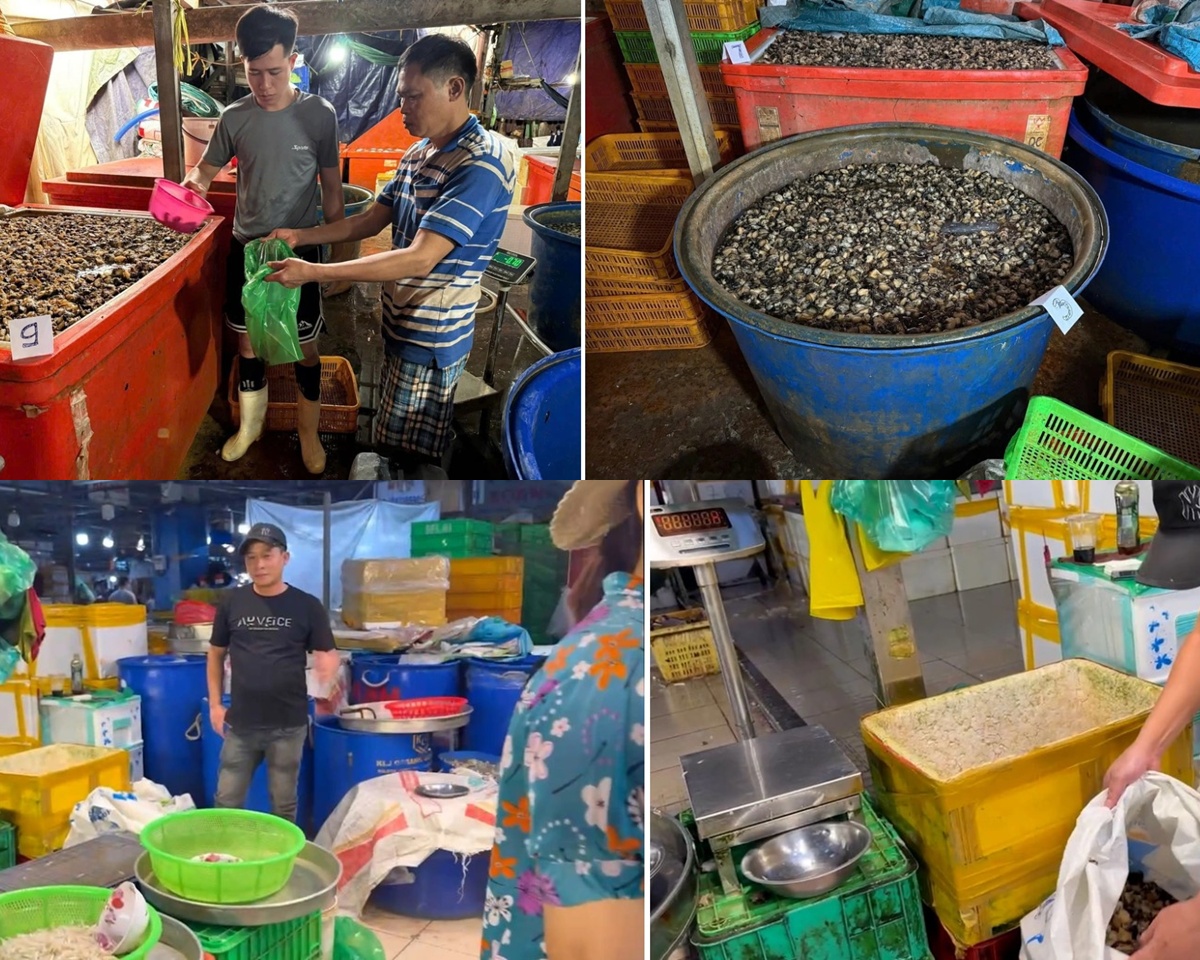 Cơ sở ng&acirc;m 3.000 tấn ốc với h&oacute;a chất tồn tại 5 năm ở TPHCM: Hoạt động kh&eacute;p k&iacute;n, che mắt thi&ecirc;n hạ!