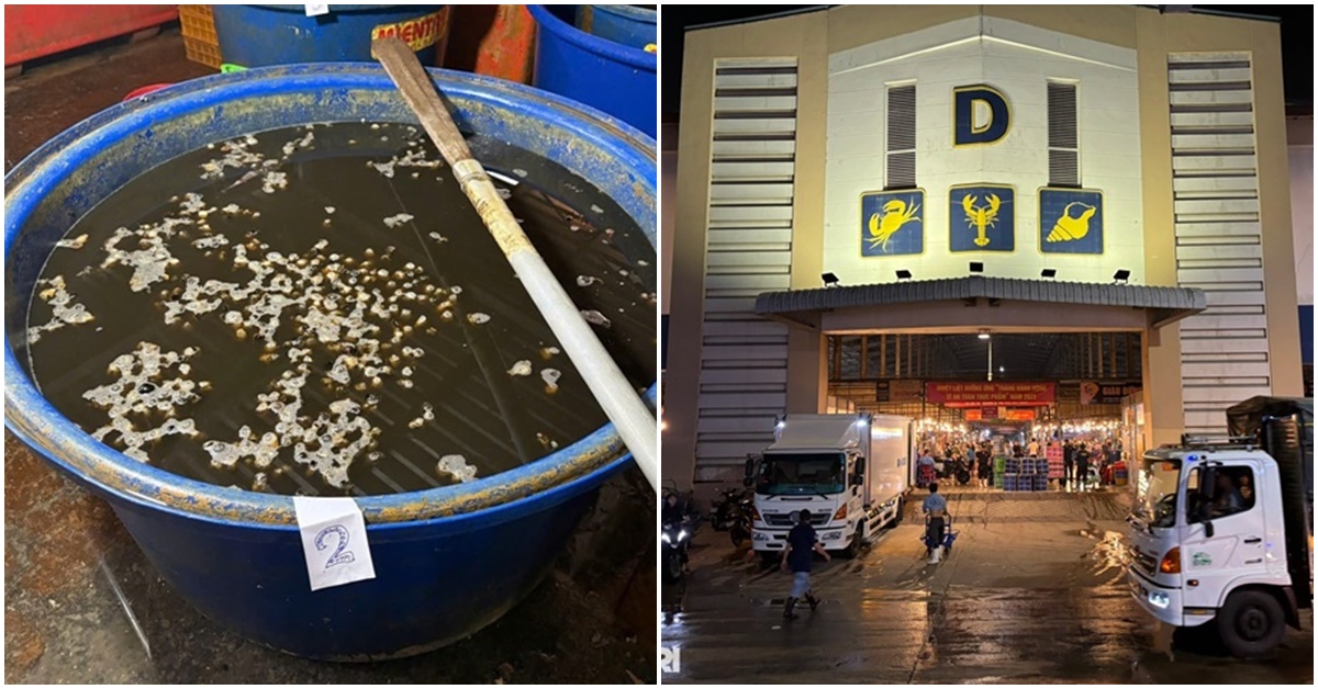 Sở An to&agrave;n thực phẩm TPHCM l&ecirc;n tiếng vụ 3.000 tấn ốc ng&acirc;m h&oacute;a chất, tại sao cơ sở n&agrave;y đ&atilde; tồn tại được 5 năm?