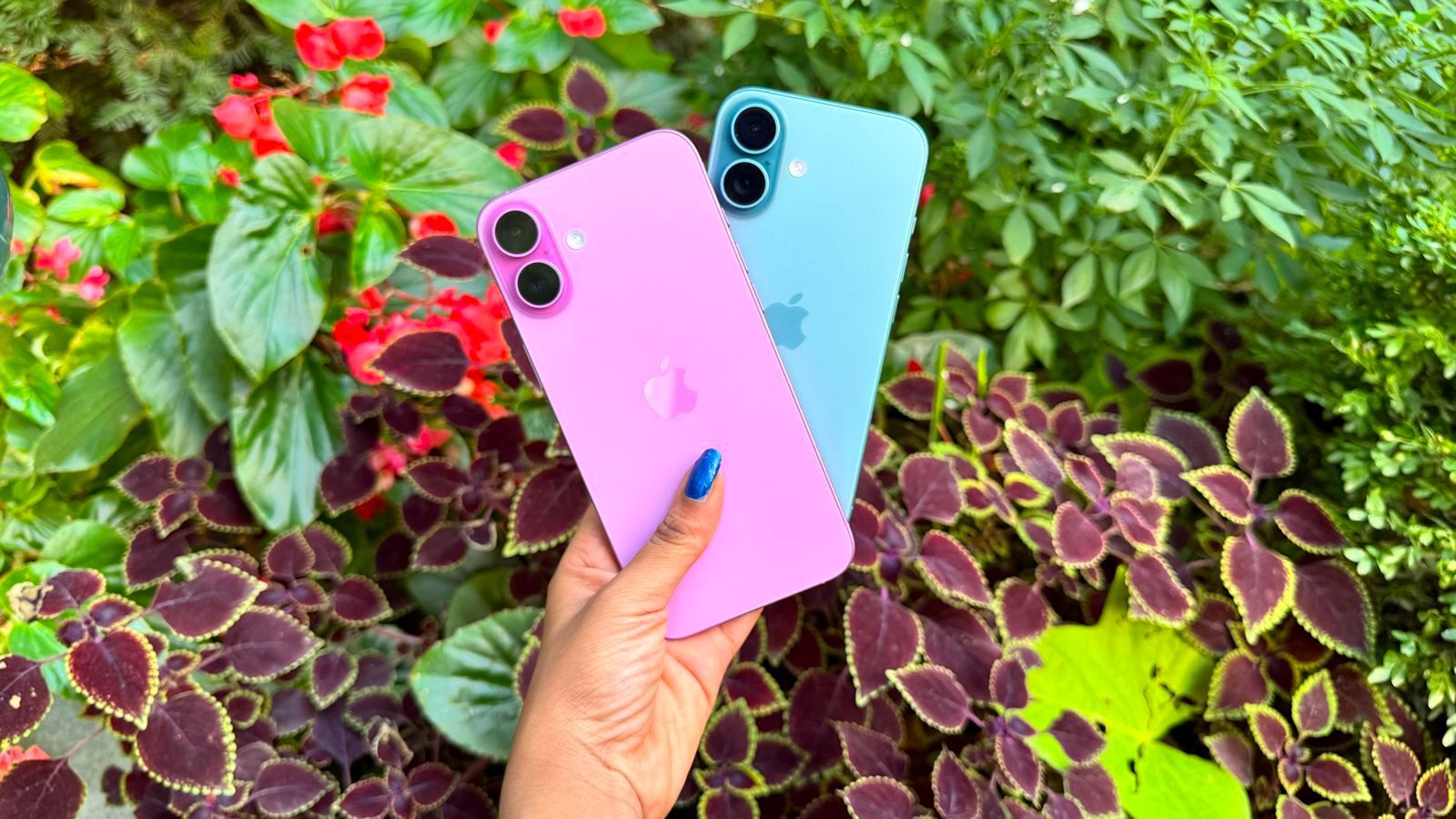 Đ&acirc;y l&agrave; iPhone pin tr&acirc;u gi&aacute; rẻ nhất Việt Nam, ngang tầm iPhone 17 Pro Max, &aacute;p đảo iPhone 17 thường