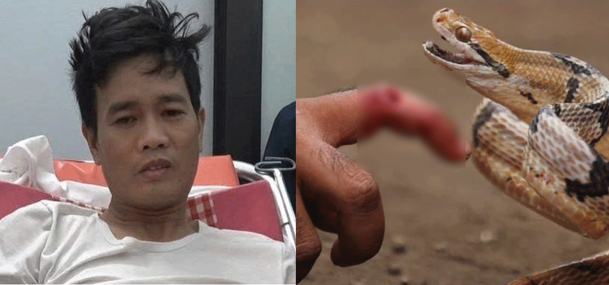 Chồng s&aacute;t hại vợ, chạy ra vườn th&igrave; bị rắn độc cắn: Nguy&ecirc;n nh&acirc;n ra tay t&agrave;n độc v&agrave; t&igrave;nh h&igrave;nh nghi phạm