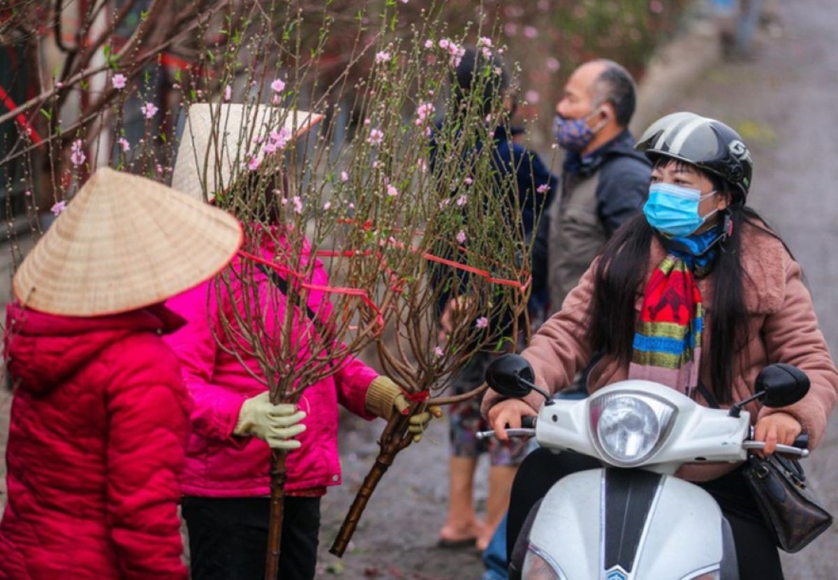 Miền bắc đang trải qua m&ugrave;a đ&ocirc;ng ấm &aacute;p lạ thường, dự b&aacute;o thời tiết dịp Tết Nguy&ecirc;n Đ&aacute;n 2026 ra sao?