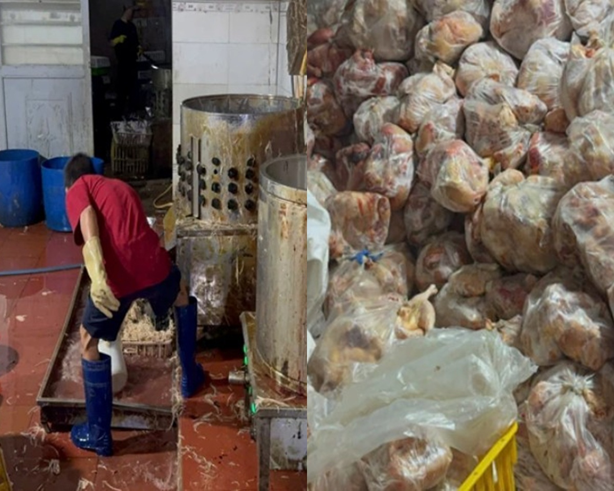 Ph&aacute;t hiện hơn 10 tấn thịt g&agrave; \'bẩn\' trong kho lạnh tại Nha Trang: Hiện trường ai nh&igrave;n cũng r&ugrave;ng m&igrave;nh