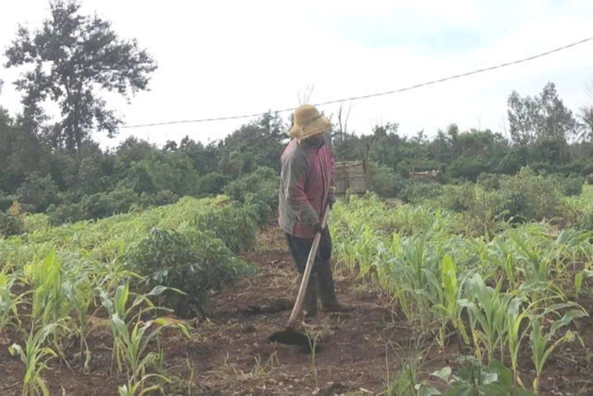 Nghịch l&yacute; thắng kiện 4 năm nhưng kh&ocirc;ng c&oacute; tiền bồi thường: 6 gi&aacute;o vi&ecirc;n &lsquo;k&ecirc;u cứu&rsquo; khắp nơi