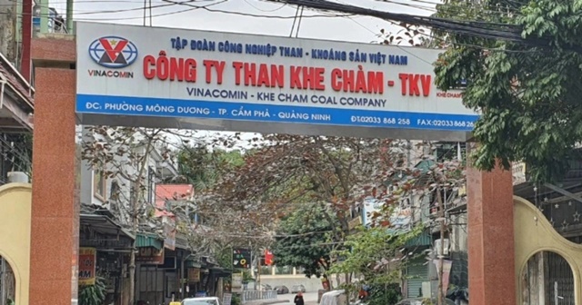 Một c&ocirc;ng nh&acirc;n tử vong thương t&acirc;m trong l&uacute;c l&agrave;m việc ở Quảng Ninh, h&eacute; lộ nguy&ecirc;n nh&acirc;n g&acirc;y r&ugrave;ng m&igrave;nh