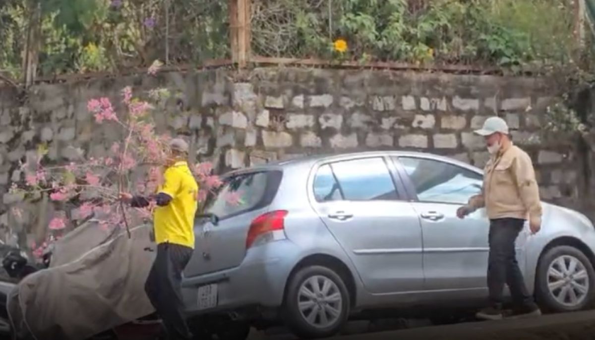 H&eacute; lộ nguy&ecirc;n nh&acirc;n người đ&agrave;n &ocirc;ng cả gan chặt c&agrave;nh đ&agrave;o trước khu&ocirc;n vi&ecirc;n Nh&agrave; ở c&ocirc;ng vụ ở Đ&agrave; Lạt