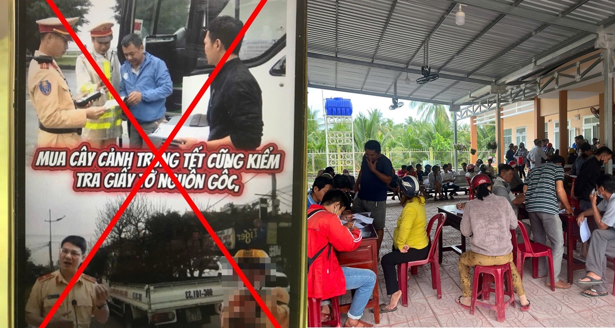 Cục CSGT l&ecirc;n tiếng về th&ocirc;ng tin mua c&acirc;y cảnh trưng Tết bị kiểm tra giấy tờ nguồn gốc