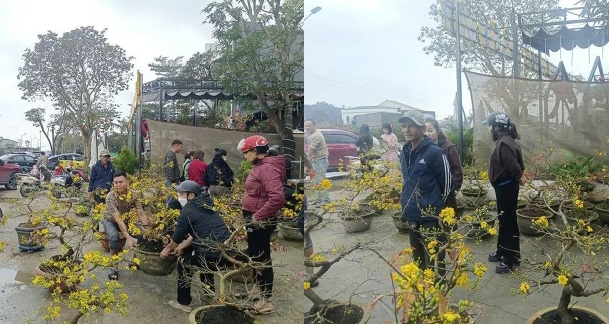 Người đ&agrave;n &ocirc;ng từ Gia Lai ra Nghệ An b&aacute;n mai &lsquo;bị lừa&rsquo; trắng trợn v&agrave; c&aacute;i kết ấm l&ograve;ng cư d&acirc;n mạng