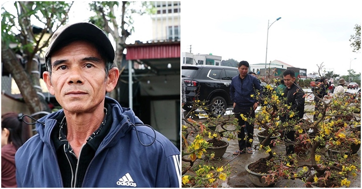 Rộ nghi vấn d&agrave;n dựng &lsquo;kh&aacute;ch mua mai qu&ecirc;n trả tiền&rsquo; để b&aacute;n hết mai, người trong cuộc l&ecirc;n tiếng bất ngờ