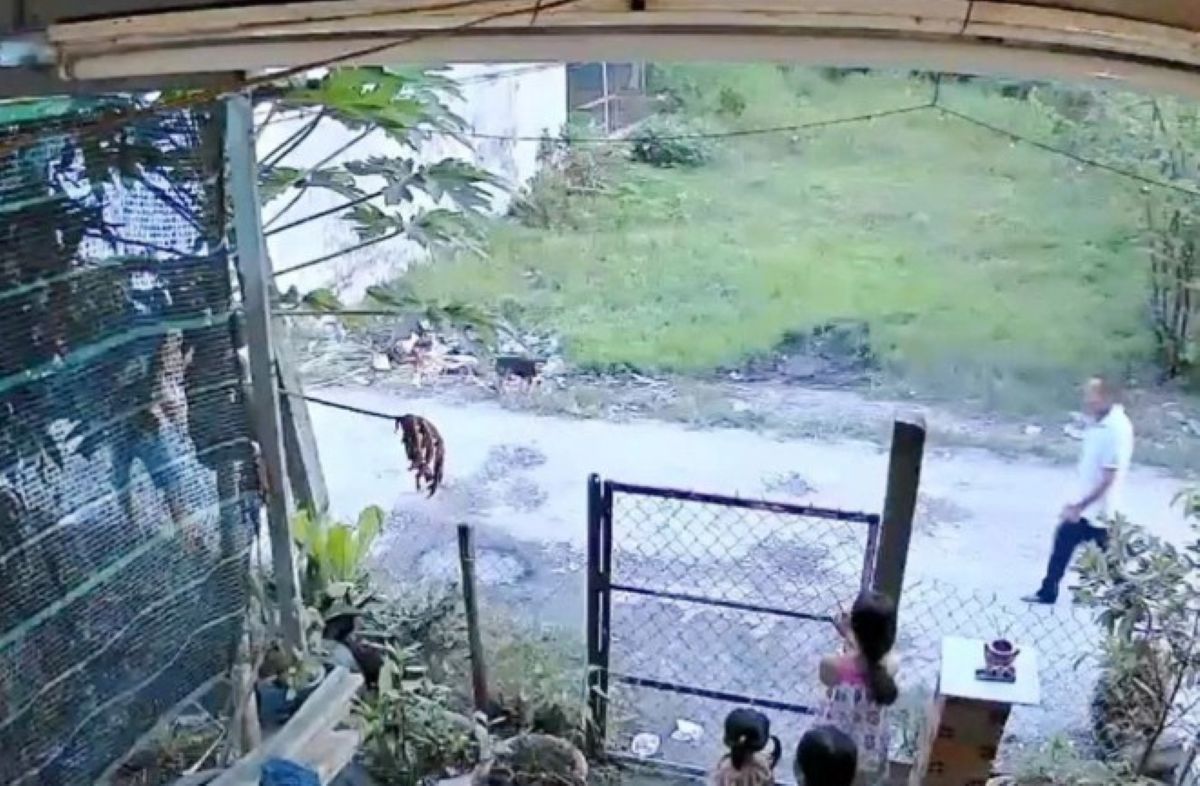 M&acirc;u thuẫn đất đai, cậu ruột vung dao đ&acirc;m ch&aacute;u ở T&acirc;y Ninh: Lộ uẩn kh&uacute;c ph&iacute;a sau vụ &aacute;n kh&ocirc;ng đ&aacute;ng c&oacute;