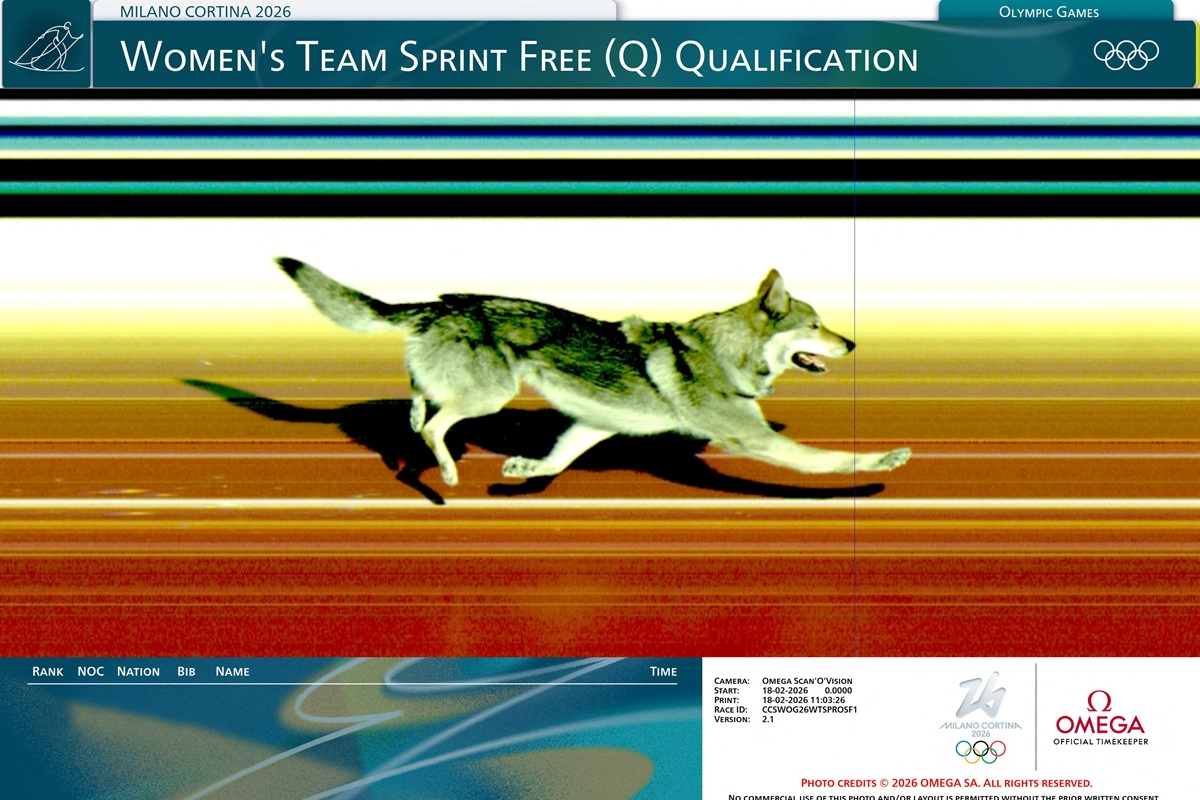 \'Ch&oacute; s&oacute;i\' lao v&agrave;o đường đua Olympic m&ugrave;a đ&ocirc;ng 2026 rượt đuổi VĐV, c&aacute;n đ&iacute;ch khiến CĐV phấn kh&iacute;ch