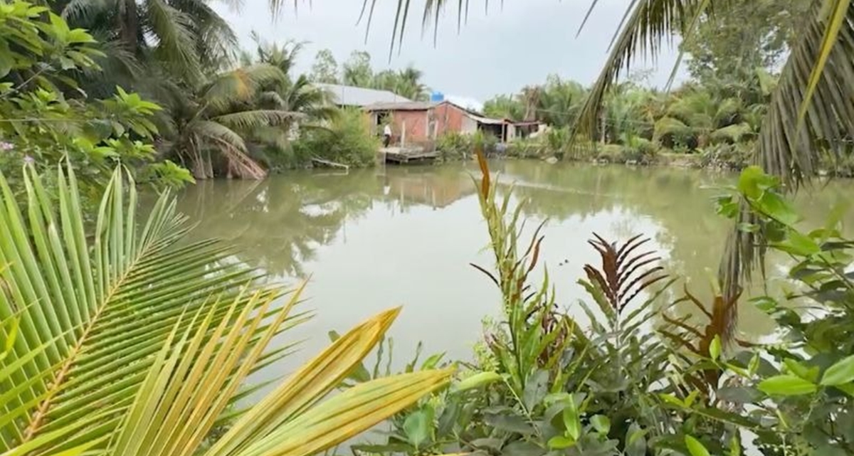 Th&ocirc;ng tin ch&iacute;nh thức vụ ph&aacute;t hiện thi thể b&eacute; sơ sinh trong ao nh&agrave; d&acirc;n ở Hải Ph&ograve;ng ng&agrave;y m&ugrave;ng 3 Tết