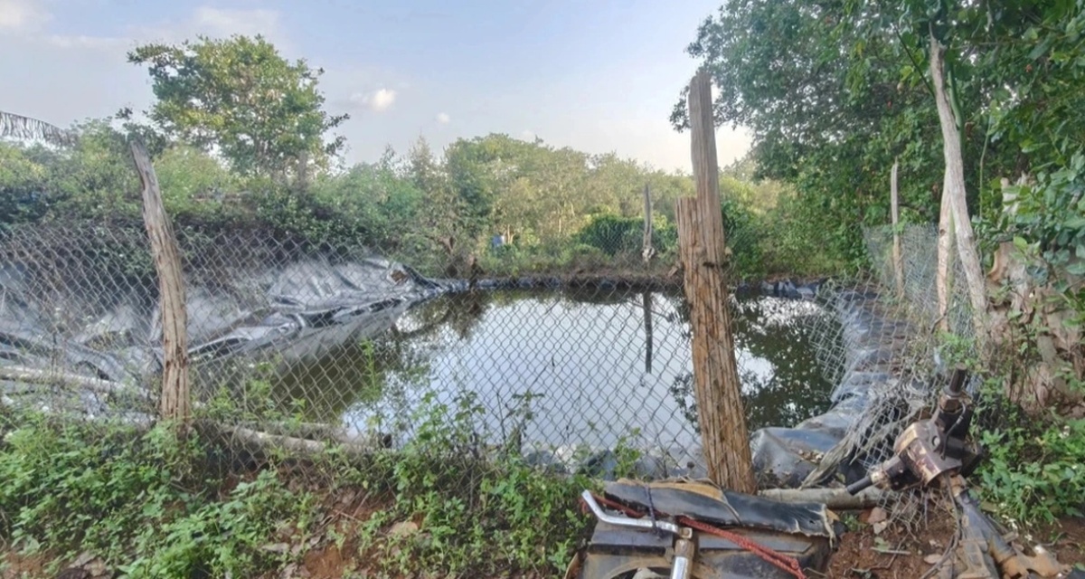 Vụ ph&aacute;t hiện thi thể b&eacute; g&aacute;i 2 ng&agrave;y tuổi dưới ao ở Hải Ph&ograve;ng, mẹ ruột c&oacute; thể đối diện khung h&igrave;nh phạt n&agrave;o?